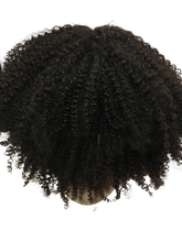 Load image into Gallery viewer, “Niki” Afro Curl Wig
